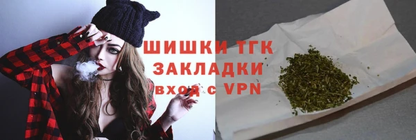 сатива Мегион