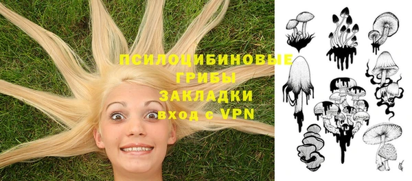 прущая мука Медвежьегорск