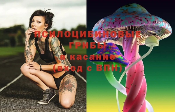 прущая мука Медвежьегорск
