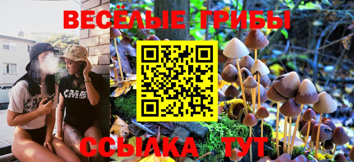Псилоцибиновые грибы Psilocybine cubensis  Псилоцибиновые грибы мицелий  Вход с VPN  Норильск 