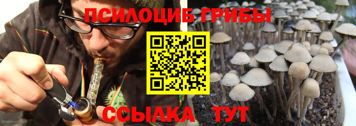 Псилоцибиновые грибы мицелий Норильск
