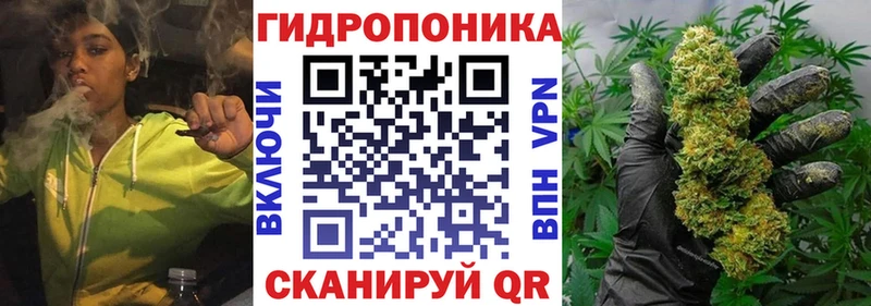 Бошки марихуана марихуана  магазин  наркотиков  Норильск 