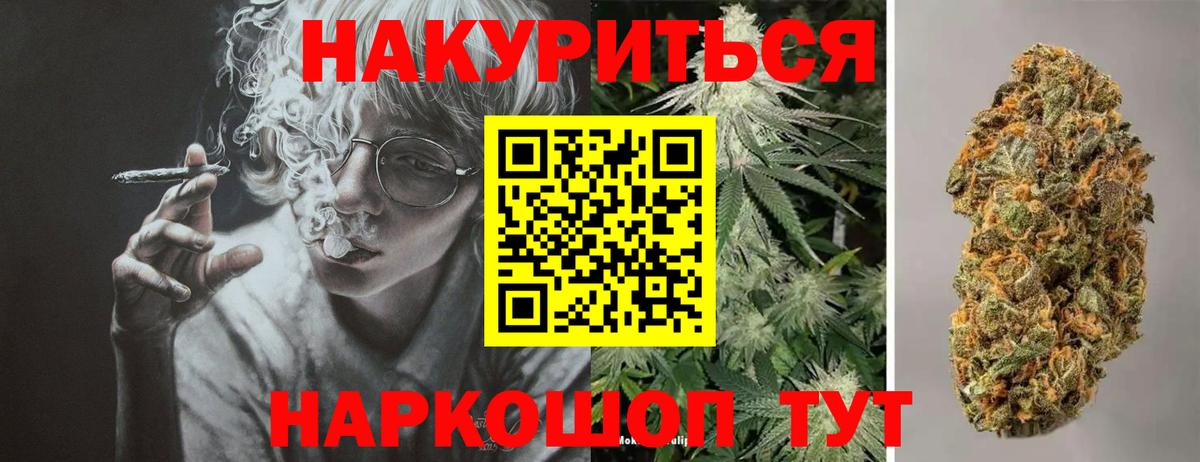 Каннабис сатива Норильск